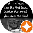 Mohammad Arif profile picture